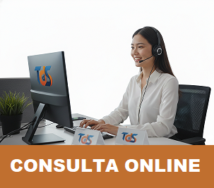 Consultas Online